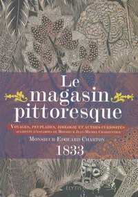 Le magasin pittoresque