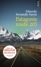 Eduardo Fernando Varela - Patagonie route 203.