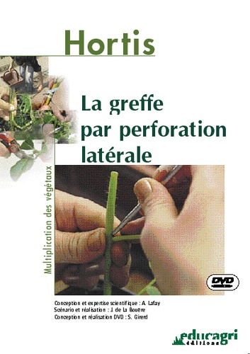 La greffe par perforation latérale de Alain Lafay - Livre - Decitre