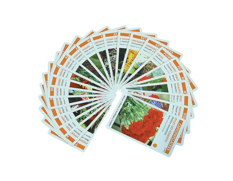  Educagri - Planti'cartes - Jeux de reconnaissance des plantes exotiques et d'ornement - Avec 62 cartes à jouer.