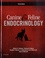 Canine & Feline Endocrinology