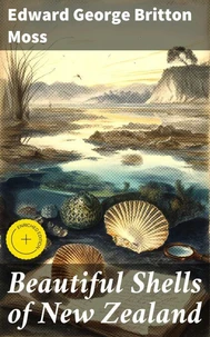 Beautiful Shells of New Zealand