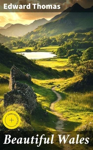Beautiful Wales