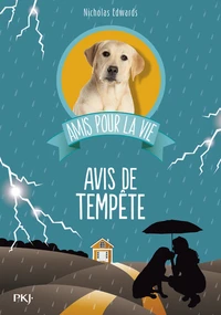 Avis de tempète