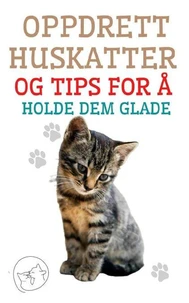 Oppdrett Huskatter og Tips for å Holde dem Glade