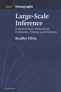 Large-Scale Inference