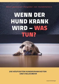 Wenn der Hund krank wird - was tun?