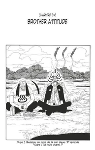 One Piece édition originale - Chapitre 316