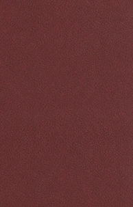 Le roman en prose de Tristan