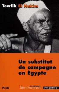 Un substitut de campagne en Egypte