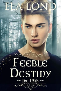 The 13th: Feeble Destiny