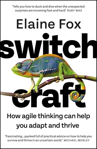 Switchcraft. How Agile Thinking Can Help You Adapt and Thrive