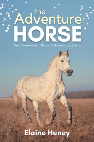  Elaine Heney - The Adventure Horse - Book 5 in the Connemara Horse Adventure Series for Kids - Connemara Horse Adventures, #5.
