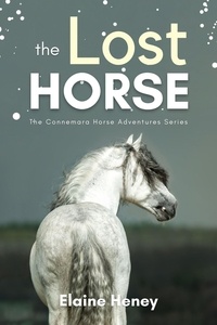  Elaine Heney - The Lost Horse - Book 6 in the Connemara Horse Adventure Series for Kids - Connemara Horse Adventures, #6.