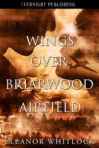 Wings Over Briarwood Airfield
