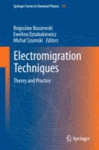 Electromigration Techniques - Theory and Practice.