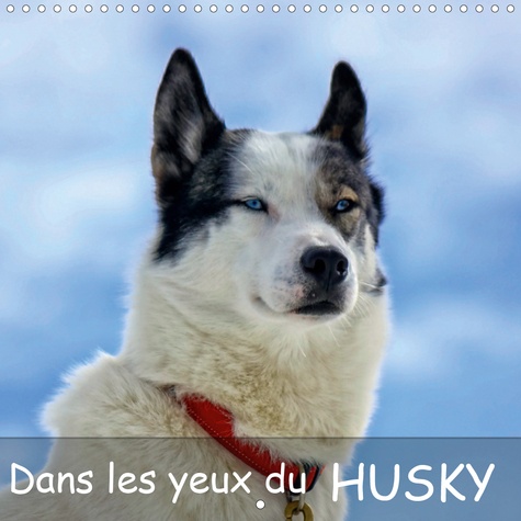 CALVENDO Animaux  Dans les yeux du husky (Calendrier mural 2020 300 × 300 mm Square). Le chien husky aime courir, le voici pendant et après une course de traineaux. (Calendrier mensuel, 14 Pages )