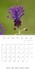 CALVENDO Nature  Fleurs subtiles (Calendrier mural 2020 300 × 300 mm Square). À la rencontre de la subtilité des fleurs... (Calendrier mensuel, 14 Pages )