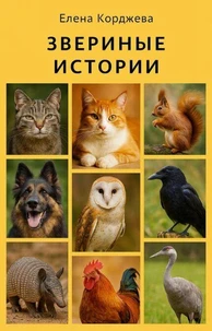 Звериные истории