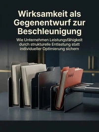 Wirksamkeit als Gegenentwurf zur Beschleunigung