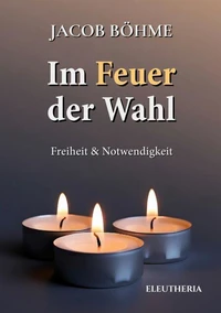 Im Feuer der Wahl