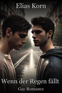 Wenn der Regen fällt: Gay Romance