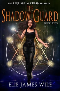 The Shadow Guard