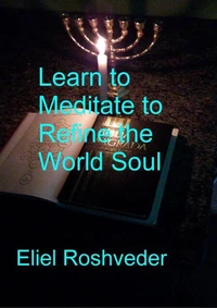Learn to Meditate to Refine the World Soul