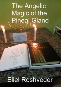  Eliel Roshveder - The Angelic Magic of the Pineal Gland - Aliens and parallel worlds, #16.