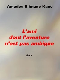L'ami dont l'aventure n'est pas ambigüe