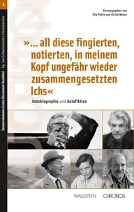 "...all diese fingierten, notierten, in meinem Kopf ungefähr wieder zusammengesetzten Ichs"