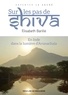 Elisabeth Barillé - Sur les pas de Shiva - En Inde dans la lumière d'Arunachala.