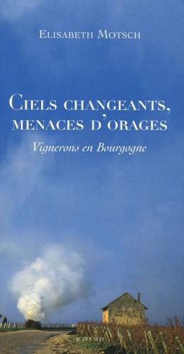 Elisabeth Motsch - Ciels changeants, menaces d'orages - Vignerons en Bourgogne.