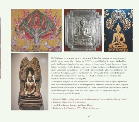 La Voie des Arbres dans le Bouddhisme. Du lotus originel aux grands ficus