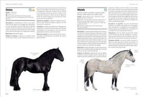 Guide des chevaux d'Europe