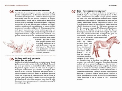 Les chevaux en 300 questions/réponses - Occasion