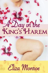 A Day in the King's Harem