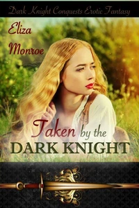 Taken by the Dark Knight
