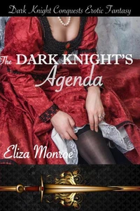 The Dark Knight's Agenda