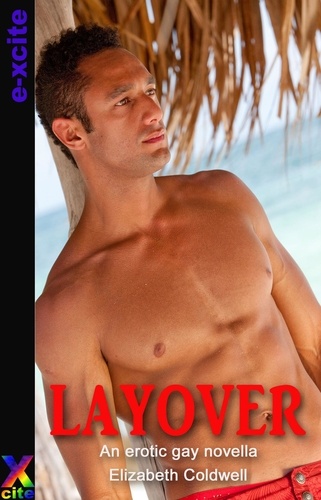 Layover. An erotic gay novella