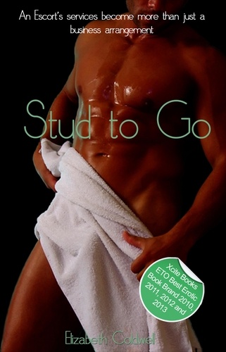 Stud to Go. An erotic gay novella