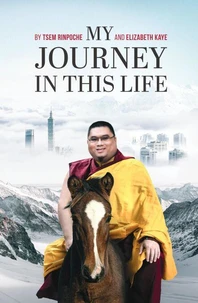 My Journey in This Life