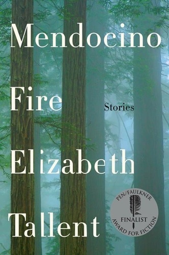 Elizabeth Tallent - Mendocino Fire - Stories.