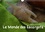 CALVENDO Nature  Le Monde des Escargots (Calendrier mural 2020 DIN A4 horizontal). Escargots dans notre paysage (Calendrier mensuel, 14 Pages )