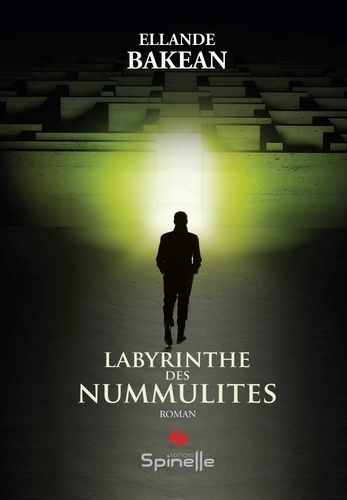 Labyrinthe des nummulites
