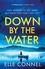 Down By The Water. The compulsive page turner you won't want to miss