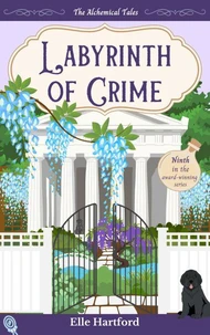 Labyrinth of Crime