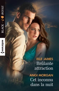 Brûlante attraction ; Cet inconnu dans la nuit