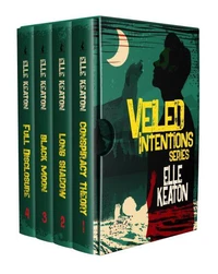 Veiled Intentions Box Set