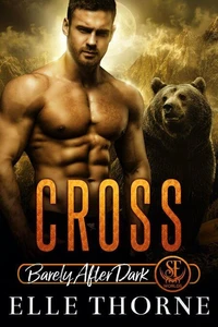 Cross: Barely After Dark